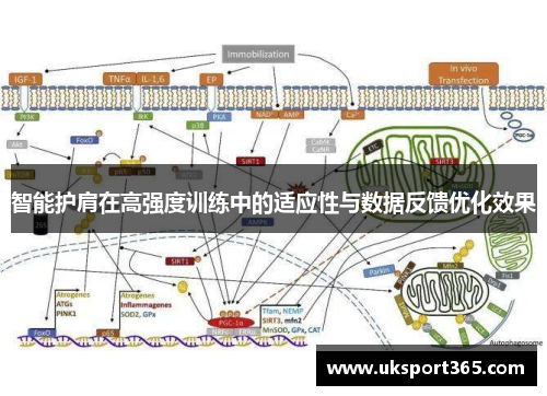 智能护肩在高强度训练中的适应性与数据反馈优化效果